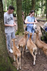 2023-09-03-Wildpark-108