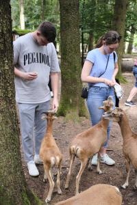 2023-09-03-Wildpark-109