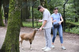 2023-09-03-Wildpark-110