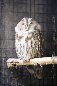 2023-09-03-Wildpark-159