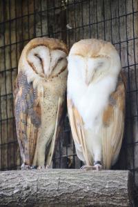 2023-09-03-Wildpark-160