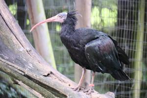 2023-09-03-Wildpark-161