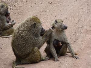 20190821-115006 Tanzania 756