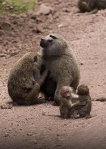 20190821-115258 Tanzania 447