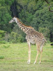 20190821-125426 Tanzania 759