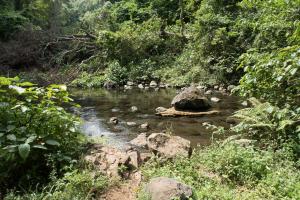 20190822-143056 Tanzania 830