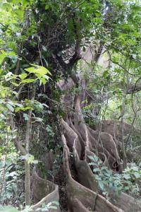 20190822-144820 Tanzania 843