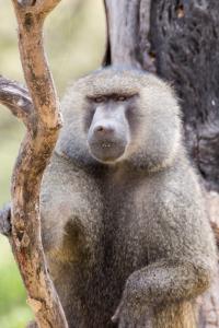 20190824-140738 Tanzania 374