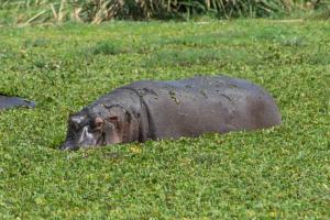 20190824-142010 Tanzania 381