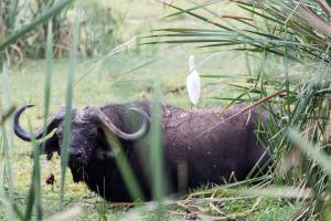 20190824-144210 Tanzania 396