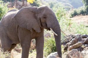 20190824-163042 Tanzania 421