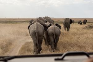 20190825-161345 Tanzania 345
