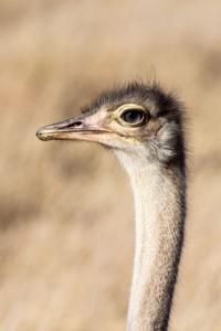 20190826-081534 Tanzania 190