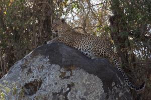 20190826-084325 Tanzania 197