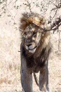 20190826-095703 Tanzania 222