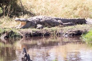 20190826-101005 Tanzania 231