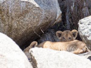 20190826-123452 Tanzania 288
