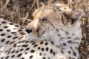 20190826-130758 Tanzania 291