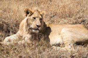20190828-113727 Tanzania 896