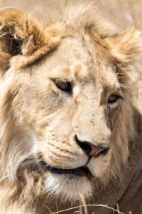 20190828-113741 Tanzania 118