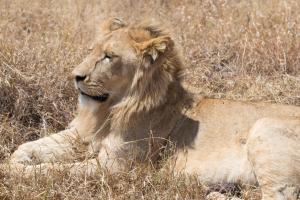 20190828-113819 Tanzania 121