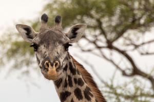 20190829-092250 Tanzania 019