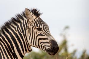 20190829-101658 Tanzania 027