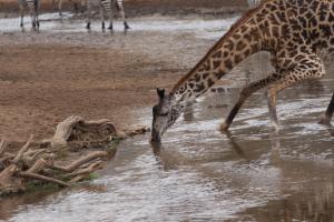 20190829-120817 Tanzania 054