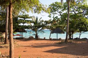 20190902-165302 Tanzania 923